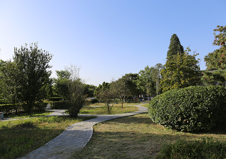 自选地